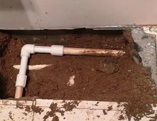 万荣测漏水哪家好