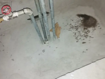 万荣卫生间测漏水价格明细